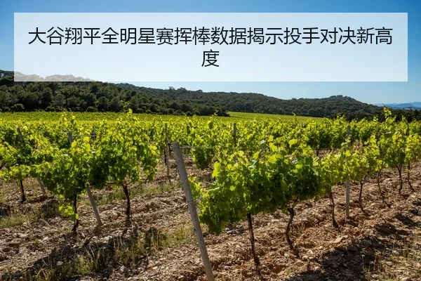 da-gu-xiang-ping-quan-ming-xing-sai-hui-bang-shu-ju-jie-shi-tou-shou-dui-jue-xin-gao-du-2-571.jpg