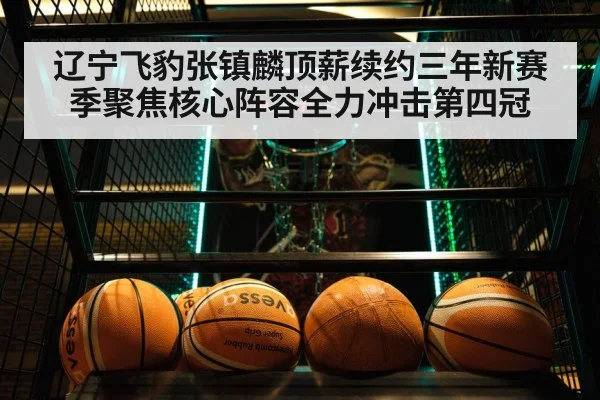 辽宁飞豹张镇麟顶薪续约三年新赛季聚焦核心阵容全力冲击第四冠