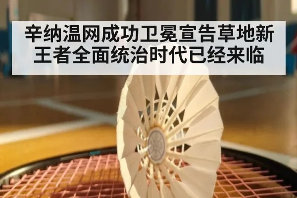 辛纳温网成功卫冕宣告草地新王者全面统治时代已经来临